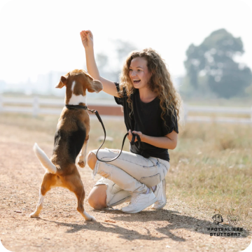 Junghund, Stuttgart Hundeschule 