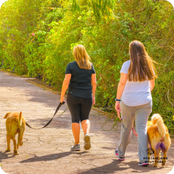 Leine als Nebensache, Leinenführung, Stuttgart Hundeschule