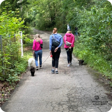 Fichtlmeier Methode, Stuttgart Hundeschule