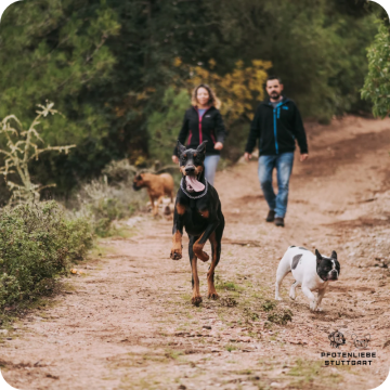 Radiustraining, Stuttgart Hundeschule